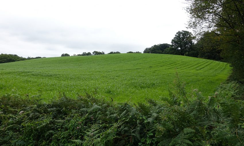 campagne et montagne